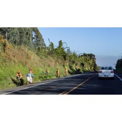 Via Araucária segue com obras viárias focadas na segurança